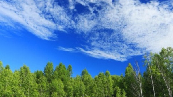 山東將環(huán)評審批、危廢許可等多項審批權(quán)下放